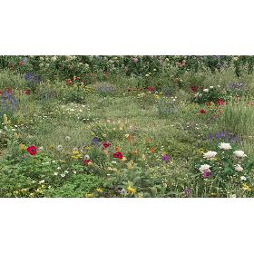 3D 20 Summer Ground Plants